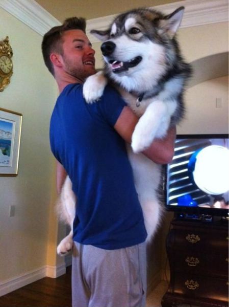 Morning Picdump
