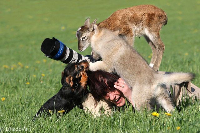 Morning Picdump
