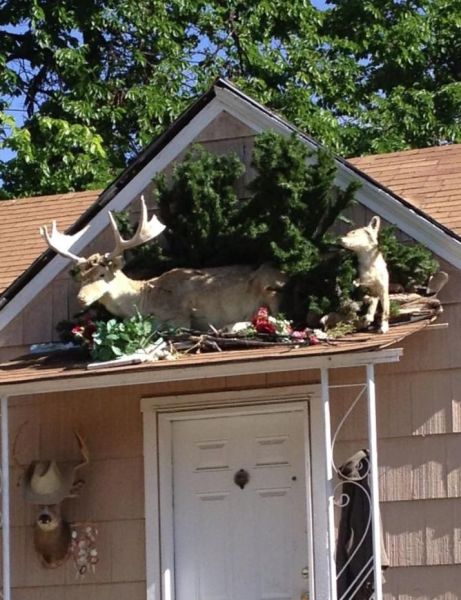 Morning Picdump