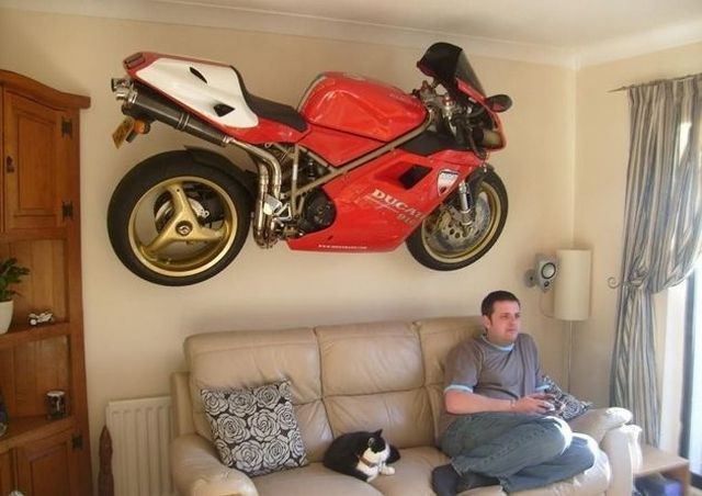 Morning Picdump