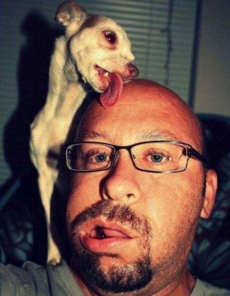 Morning Picdump