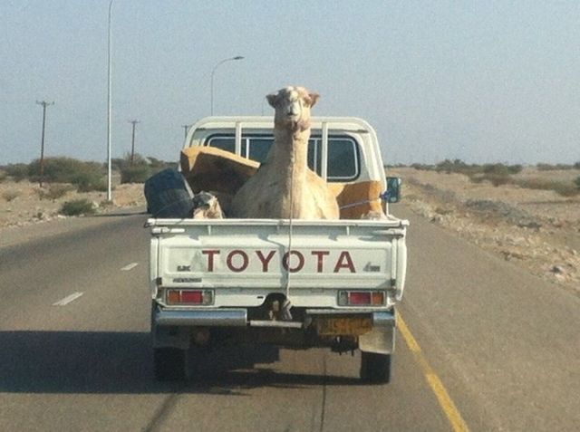 Morning Picdump