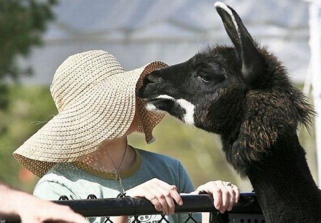 Morning Picdump