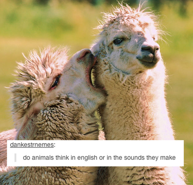 Tumblr Sheds a New Light on Everyday Items