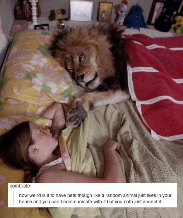 Tumblr Sheds a New Light on Everyday Items
