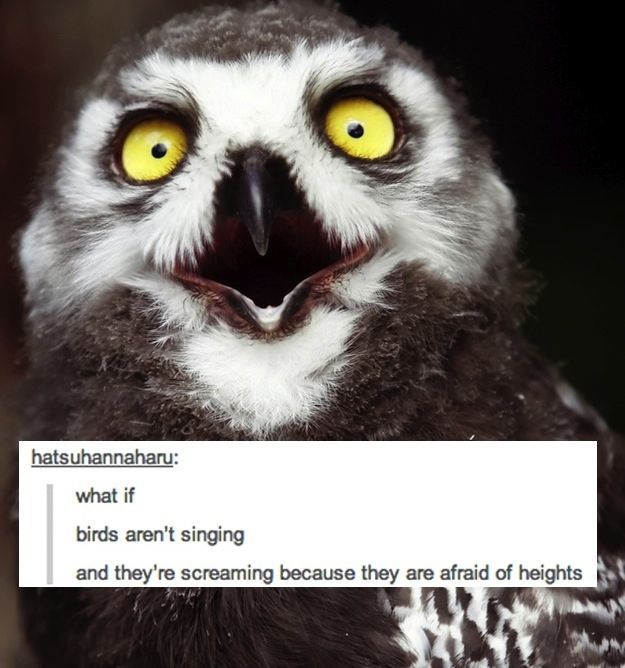 Tumblr Sheds a New Light on Everyday Items