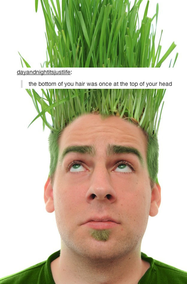 Tumblr Sheds a New Light on Everyday Items