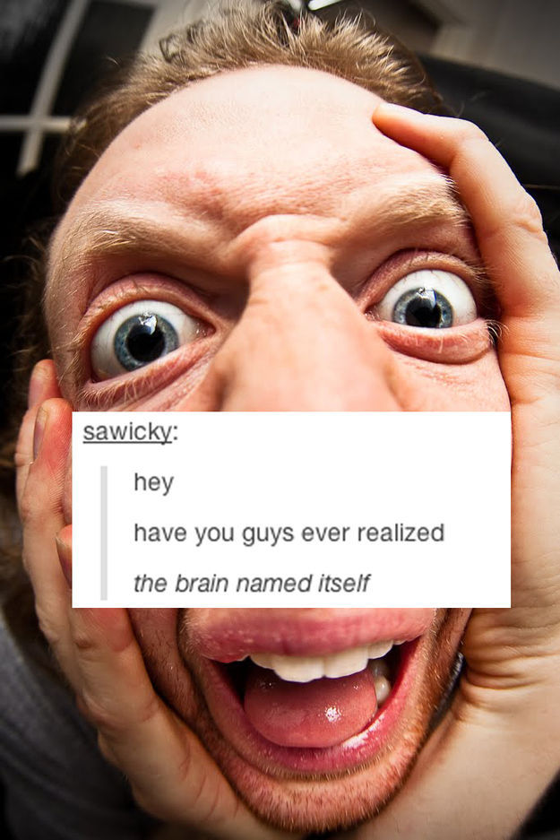 Tumblr Sheds a New Light on Everyday Items