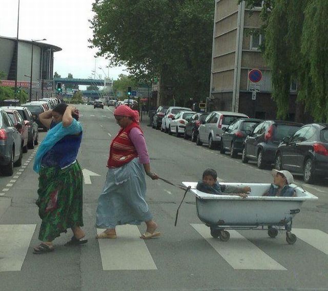 Morning Picdump
