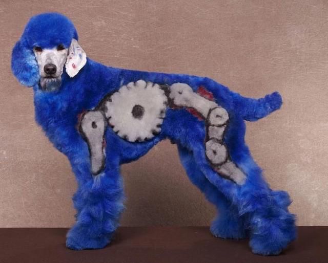 Real-Life Dogs Are Treated to the Oddest Grooming Session