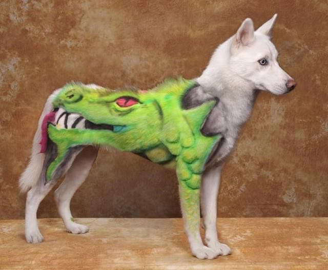 Real-Life Dogs Are Treated to the Oddest Grooming Session