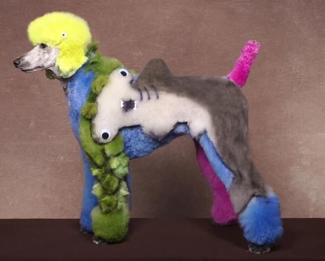 Real-Life Dogs Are Treated to the Oddest Grooming Session