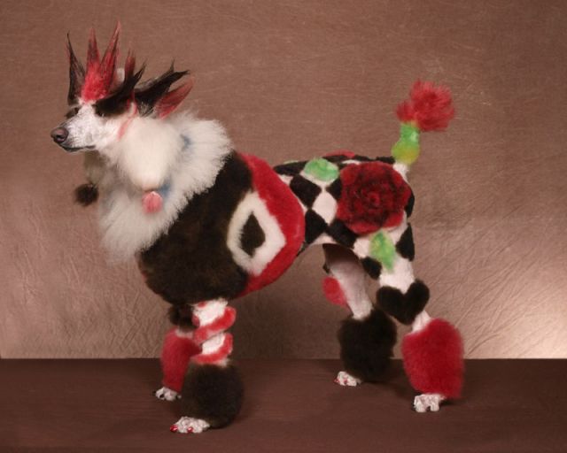 Real-Life Dogs Are Treated to the Oddest Grooming Session