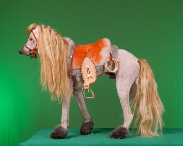 Real-Life Dogs Are Treated to the Oddest Grooming Session