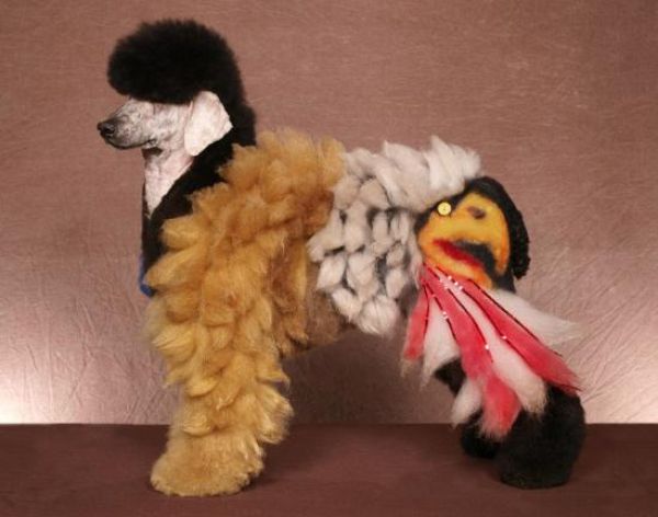 Real-Life Dogs Are Treated to the Oddest Grooming Session