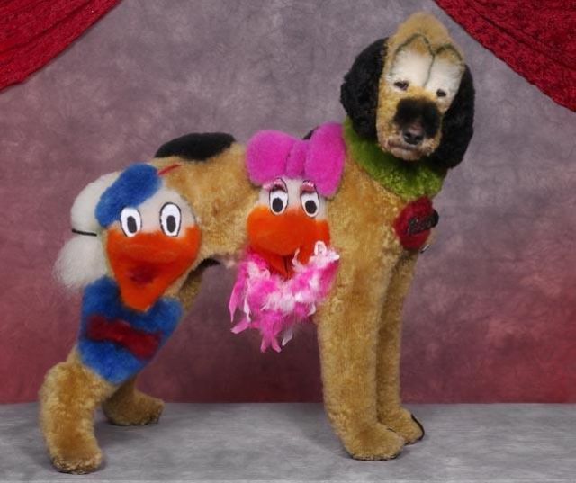 Real-Life Dogs Are Treated to the Oddest Grooming Session