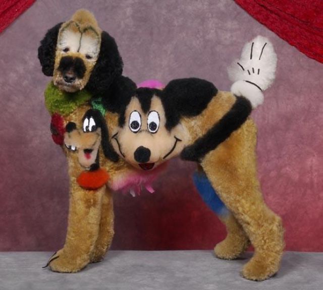 Real-Life Dogs Are Treated to the Oddest Grooming Session