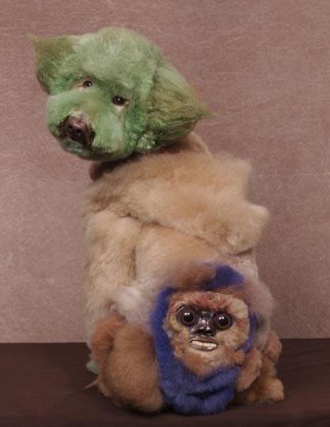 Real-Life Dogs Are Treated to the Oddest Grooming Session