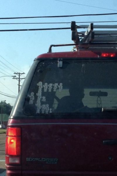 Morning Picdump