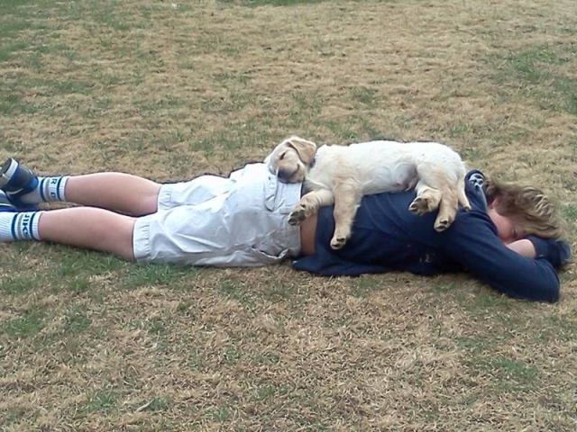 Morning Picdump
