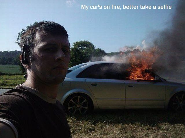 Morning Picdump