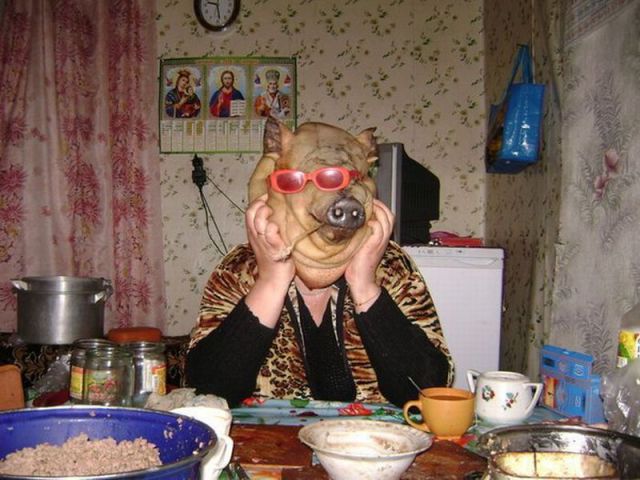 Morning Picdump
