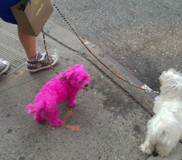 Morning Picdump