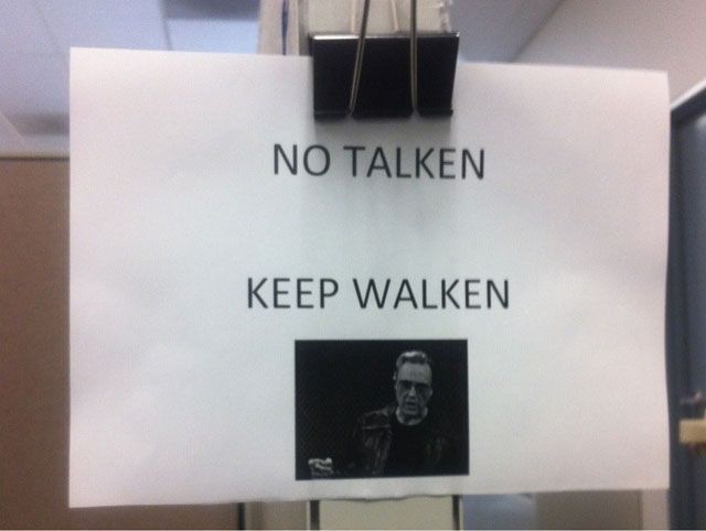 Morning Picdump