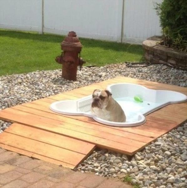 Awesome Home Things That You Gotta Get Immediately