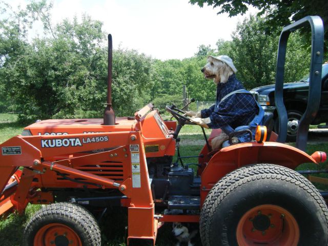 morning picdump 55 pics 25.html - 55 HD Photos | Premium Gallery 2013