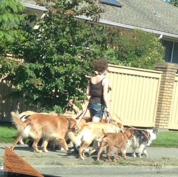 morning picdump 53 pics 19.html - 53 HD Photos | Premium Gallery 2013