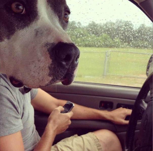 morning picdump 56 pics 17.html - 56 HD Photos | Premium Gallery 2013