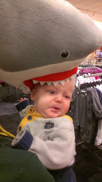 Morning Picdump