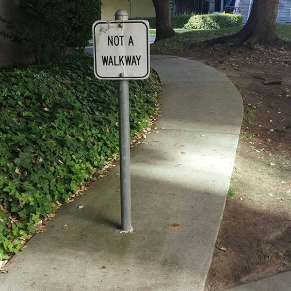 How to Troll Like a Boss