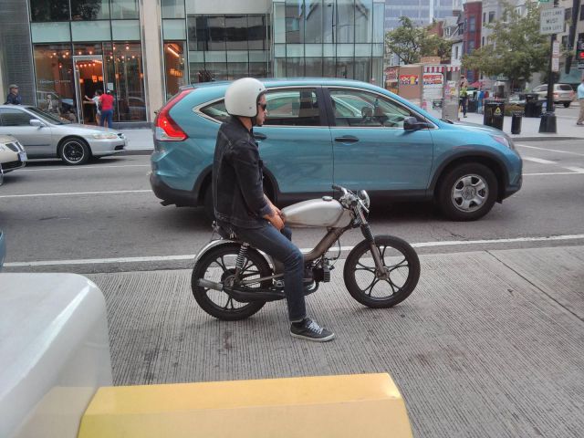 Morning Picdump