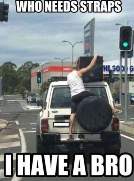 Morning Picdump