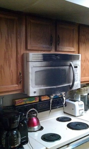 Morning Picdump