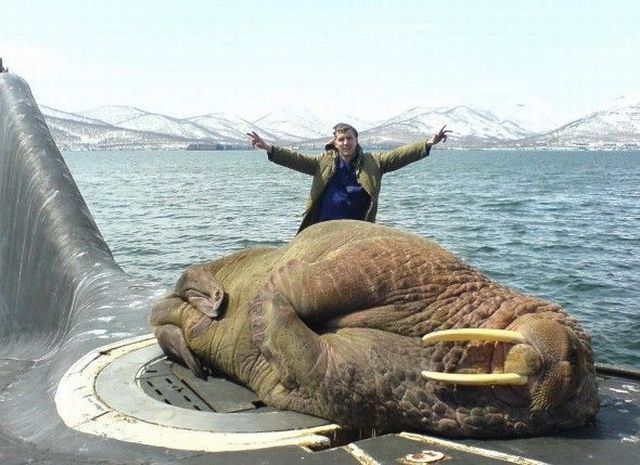 Morning Picdump