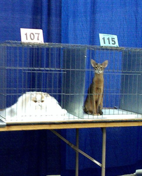 Morning Picdump