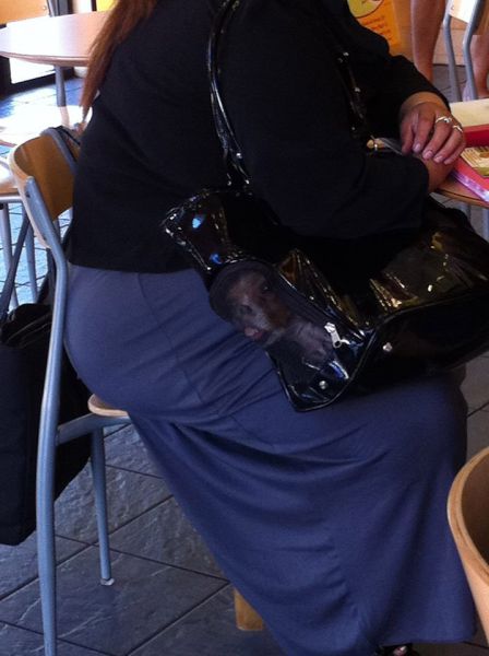 Morning Picdump