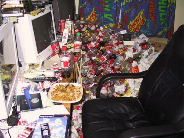 Video Gamers Who Live in a Pigsty
