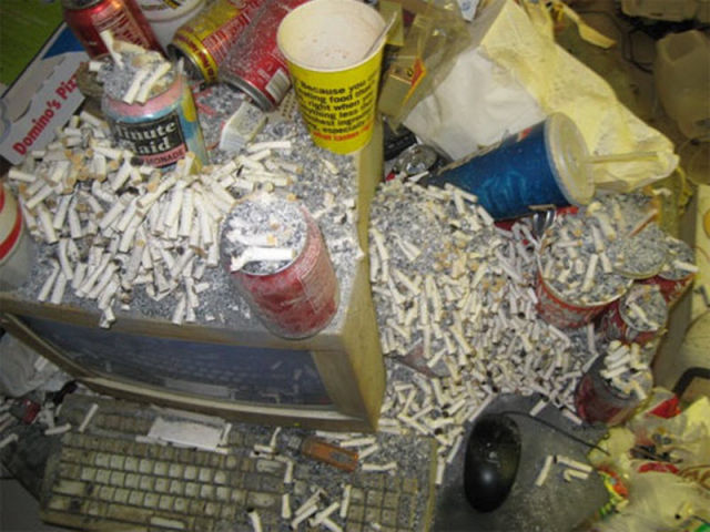 Video Gamers Who Live in a Pigsty