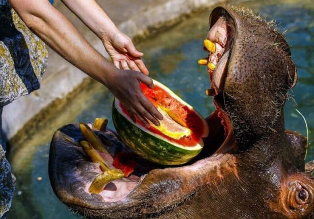 Morning Picdump
