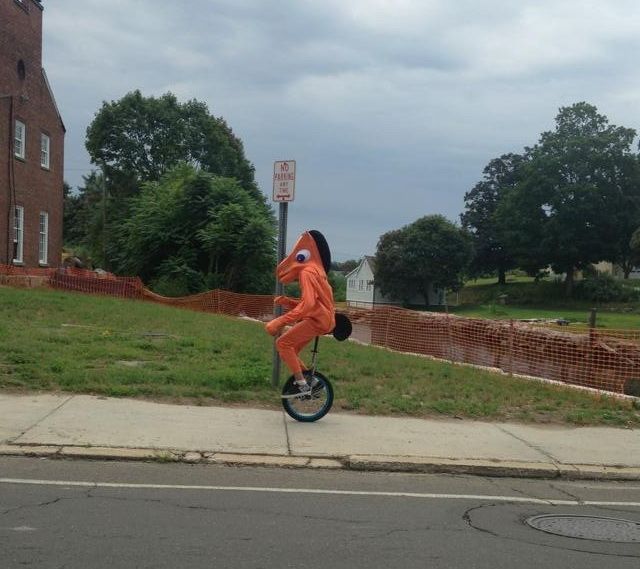 Morning Picdump