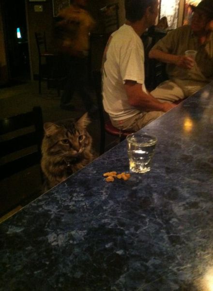 Morning Picdump