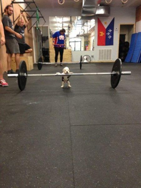 Morning Picdump