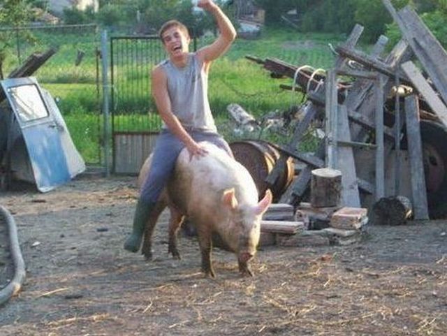 Morning Picdump