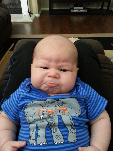Morning Picdump