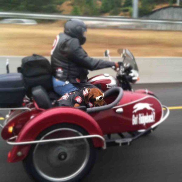 Morning Picdump