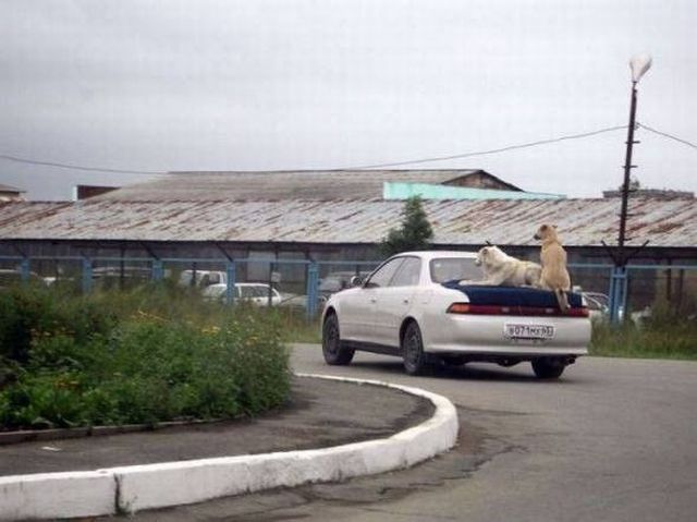 Morning Picdump
